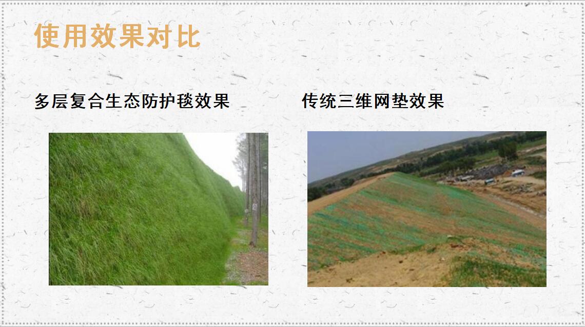 多层生态防护毯效果对比